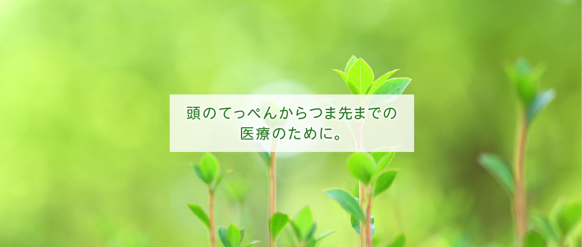 足柄上郡山北町山北、内科・外科・皮膚科・整形外科・精神科