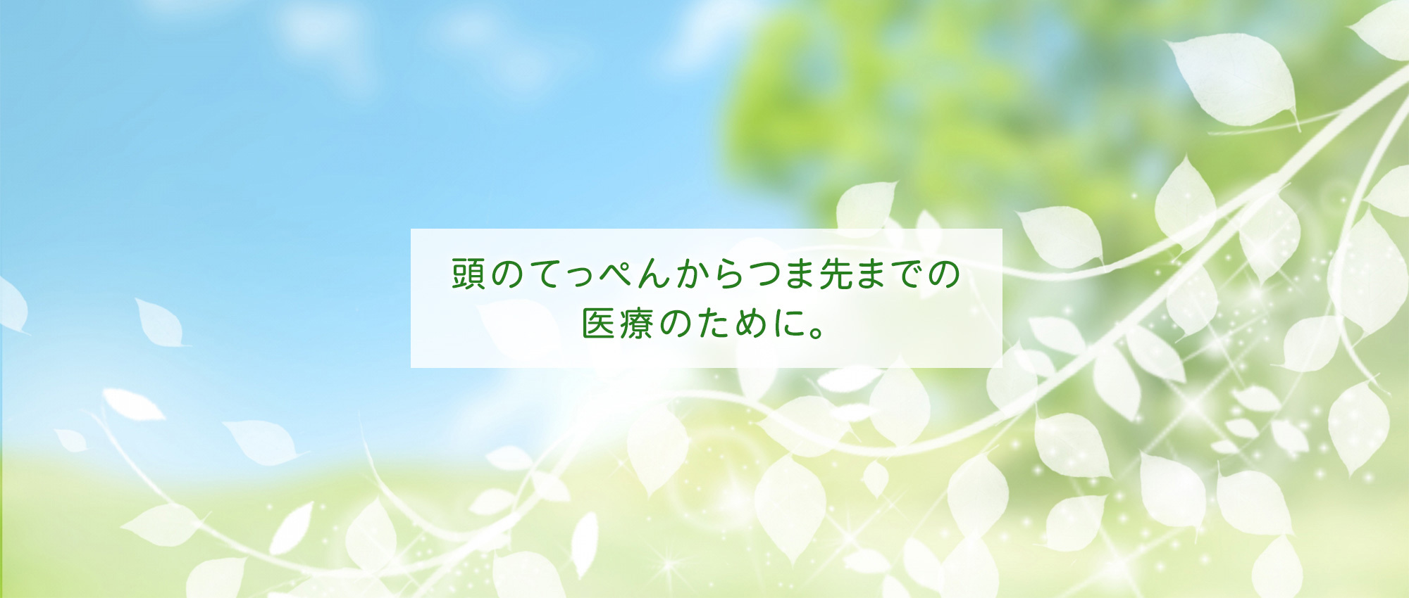 足柄上郡山北町山北、内科・外科・皮膚科・整形外科・精神科
