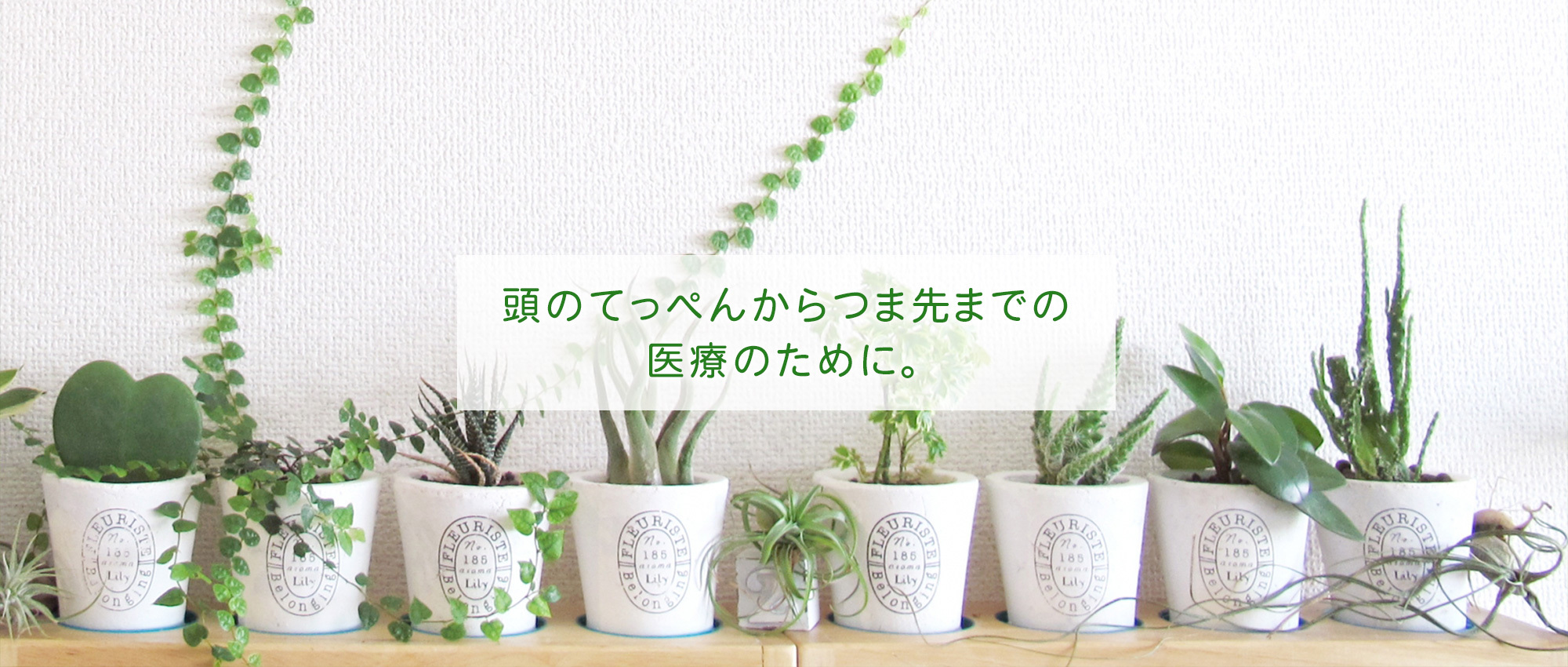 足柄上郡山北町山北、内科・外科・皮膚科・整形外科・精神科