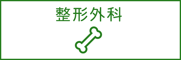 整形外科